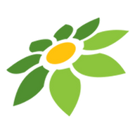 WA TOKOPEDIA